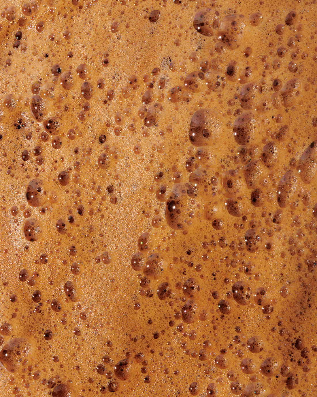 Essential Tan Kit MED